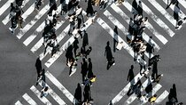 Private Tokyo City Customized English Tour With Hotel Pickup
