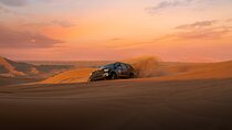 Evening Desert Safari Adventure with Traditional Camp Experience