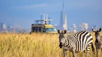 4WD Nairobi Sightseeing Shared