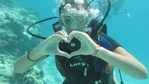 Underwater Discovery for Beginners – Full Day Diving with Lunch
