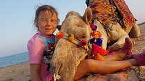 2-Hour Camel Ride Adventure Desert & Sea with Transfers –Hurghada