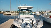 Private Boat Charter to Stingray City and Snorkeling