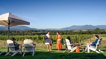 Yarra Valley wine and gin tour with Champagne Lunch at Chandon!