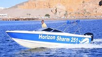 Private Speedboat 1 Hour Along the Shoreline - Sharm El Sheikh 