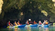 Kayak Tours Boomshaka