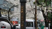 Tokyo Private Walking Tour
