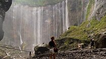 4 Days Tour From Yogya Tumpaksewu Bromo Ijen