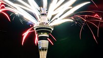 Auckland Half Day Tour Through Urban Wonders