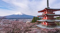 Tokyo: Mt. Fuji & Lake Kawaguchiko 1Day Bus Tour with Lunch