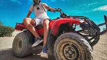 Stargazing & ATV, Camel Desert Safari with Show –Sharm El Sheikh