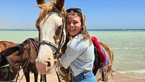 Horse Riding Adventure On The Sea In Sharm El Sheikh 