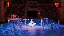 Xcaret Park Tickets Roundtrip Included from Cancun
