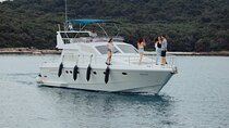 Boat Tour with Yacht Swimming Snorkeling Dolphin Sunset Brioni
