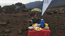 6 Day Umbwe Kilimanjaro Climb Conquer the Summit