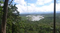 Puyo Jungle Full Day Tour