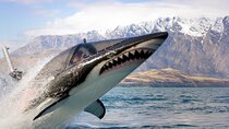 Queenstown Hydro Attack Shark Ride Adventure