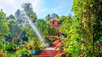 Vallarta Botanical Garden: Private Day Trip of Flora & Fauna