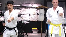 Tokyo: Karate Experience with Former All-Japan Champion