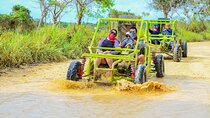 VIP beach walk by buggy and ATV Punta Cana