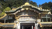 2 Day Tokyo to Nikko and Nasu Tour with Guide