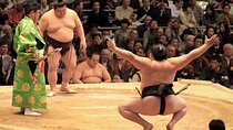 Sumo Tournament: Guided Experience with Ticket and Assigned Seat 