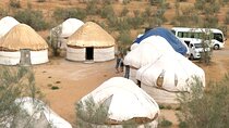 2 Day Aydar Lake Yurt Camping Tour from Samarkand