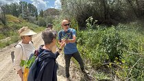 Foraging and Gastronomy Experience 