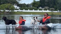 Paddle with Pups in Paradise - Paddleboard or Kayak