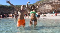 Cruise in Marietas Island with Lunch and Open Bar