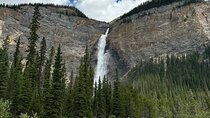 Day Trip to Takakkaw Falls Emerald Lake Natural Bridge Banff
