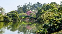 Shared tour of the tourist attractions of São Paulo