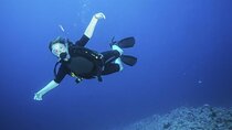 Daily Diving Experience with Lunch Included - Sharm El Sheikh