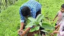 Tour De Small Town Maharashtra Nature Trekking and Star Gazing