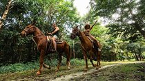 Experience ATV, Ziplines, Cenote and Horses Ride in Cancún