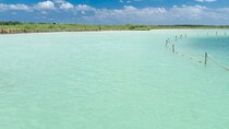 Kaan Luum Lagoon and Cenote Adventure