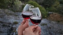 Montjuïc Tour with Wine Tasting 