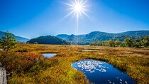 From Tokyo Day Trip Hiking Adventure in Oze National Park