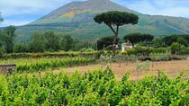 Reliable Private Transfer from Naples to Amalfi or Vice Versa