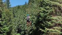 Brasov: Bear Sanctuary & 7 Leaders Canyon with Zip line included