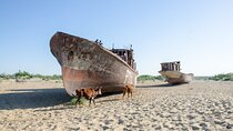 Vanishing Sea and the Forgotten Cities
