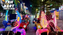 Tokyo：Akihabara Flash Go Kart Street Tour (including guide)