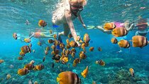Full-Day Nusa Penida Island with Snorkeling from Bali