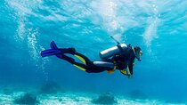 Diving in Angra dos Reis Explore 1 Diving spot