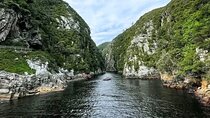 Tsitsikama National Park Day Tour from Port Elizabeth