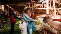 Complete Sacred Valley Tour Small group Pisac, Maras, Moray & Ollantaytambo