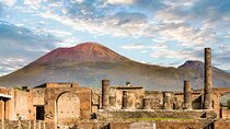 Private Tour of Pompeii and Herculaneum from Naples Port