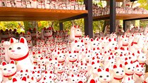 Tokyo: Lucky Cat Temple, Harajuku Cat Café & Optional PM Cat Tour