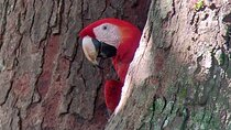 Carara National Park Private Tour