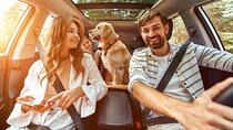 30+ National Parks Self-Guided Driving Tours Bundle