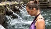 Ubud Highlights Rice Terraces, Temple, Waterfall & Monkeys forest